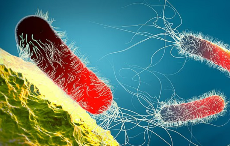 الإنفلونزا تحول رئتيك إلى ساحة معركة حياة أو موت