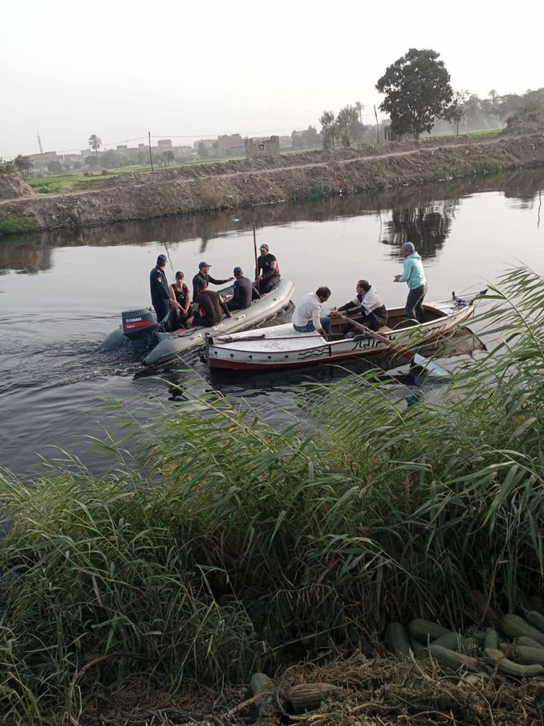تمساح الزوامل بمحافظة الشرقية في مصر تمساح الزوامل بمحافظة الشرقية في مصر