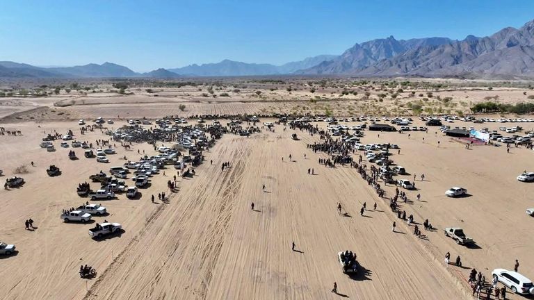 فعاليات مهرجان الشيخ محمد بن زايد