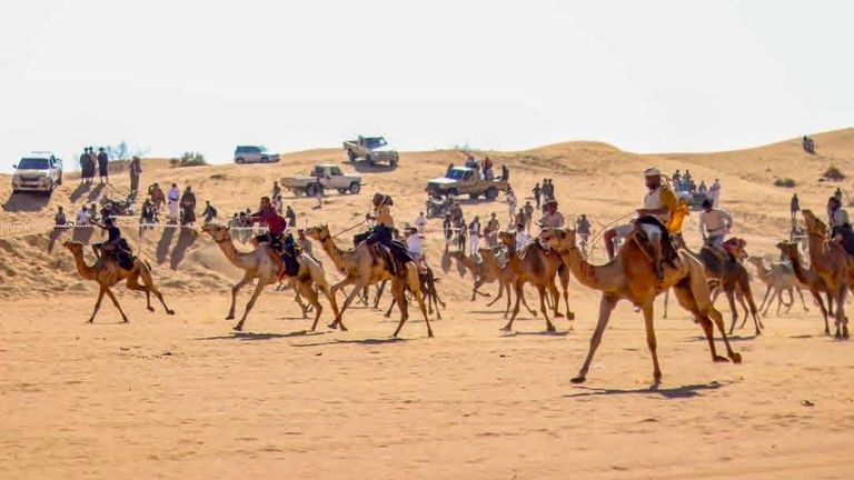 فعاليات مهرجان الشيخ محمد بن زايد