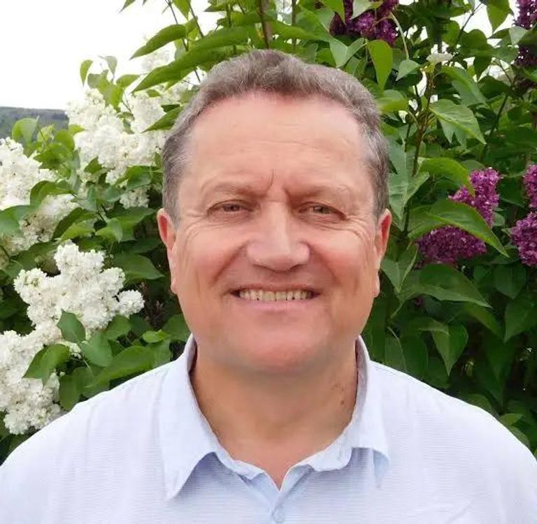 مجموعة من السيارات