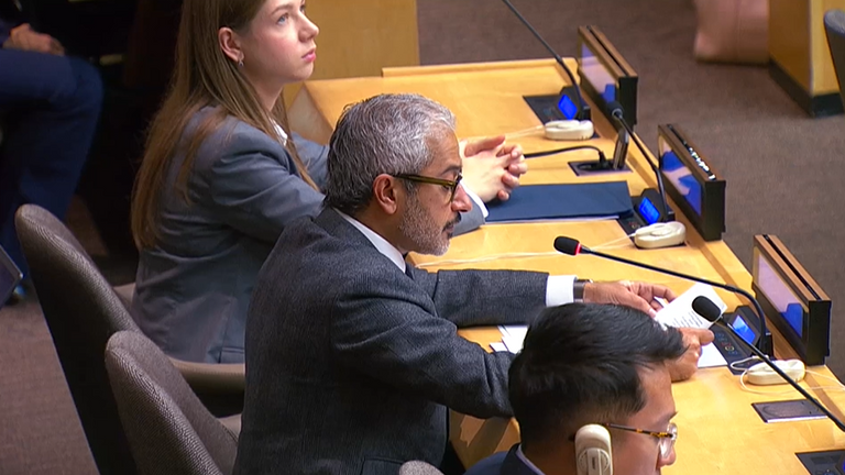 علم دولة الإمارات