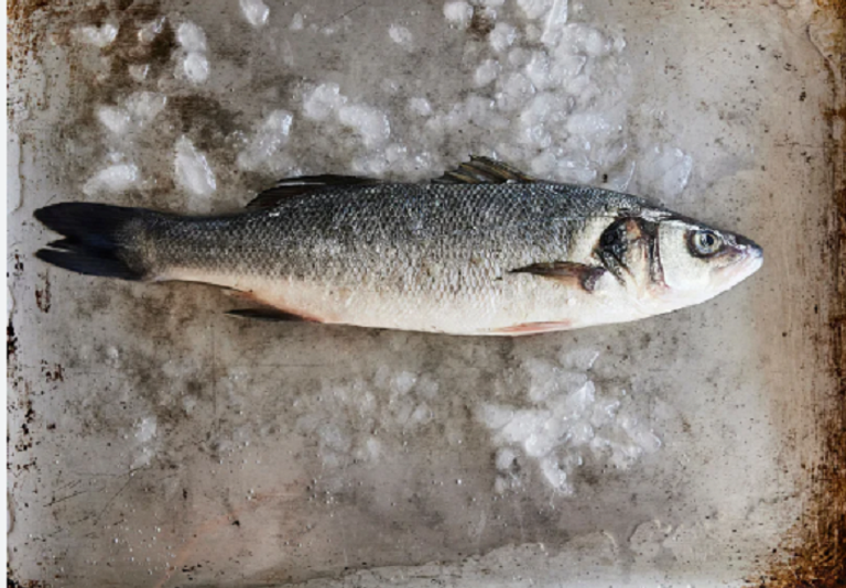 تحديد مسئولية فيروس النخر العصبي عن حادثة نفوق جماعي لأسماك القاروص في تونس