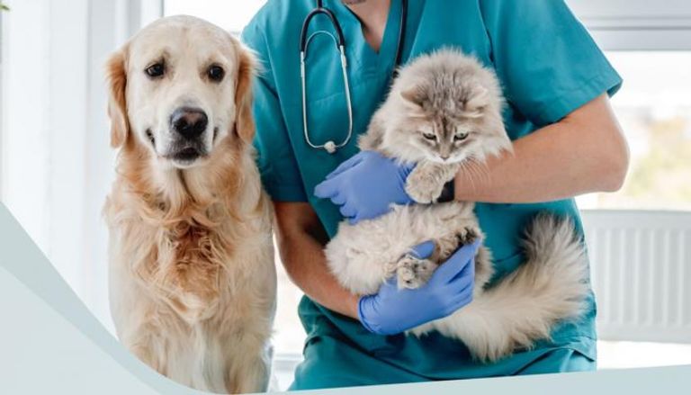 مرسوم بقانون بشأن المنتجات الطبية والصيدلانية البيطرية