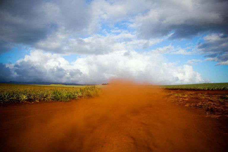 أول خريطة كيميائية توضح تنوع الغبار ومصادره المختلفة