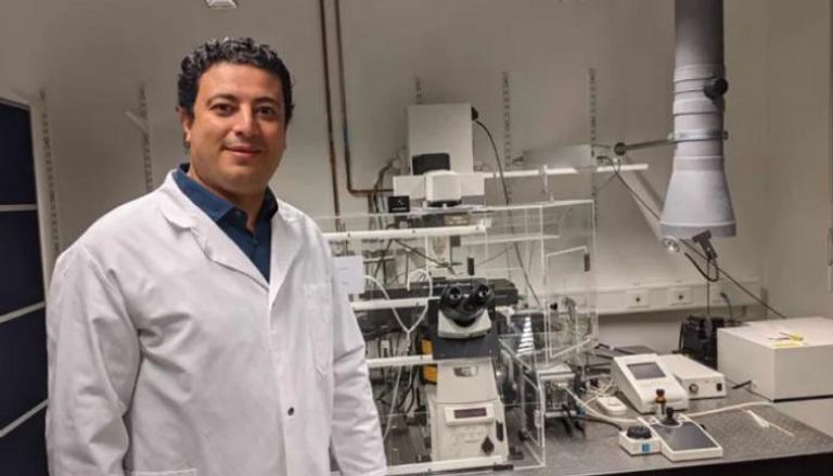 د.هيثم شعبان