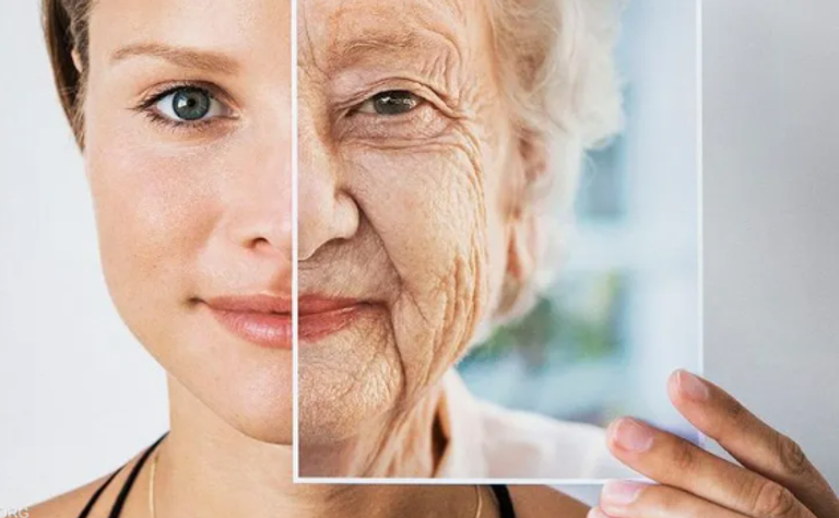 د.هيثم شعبان