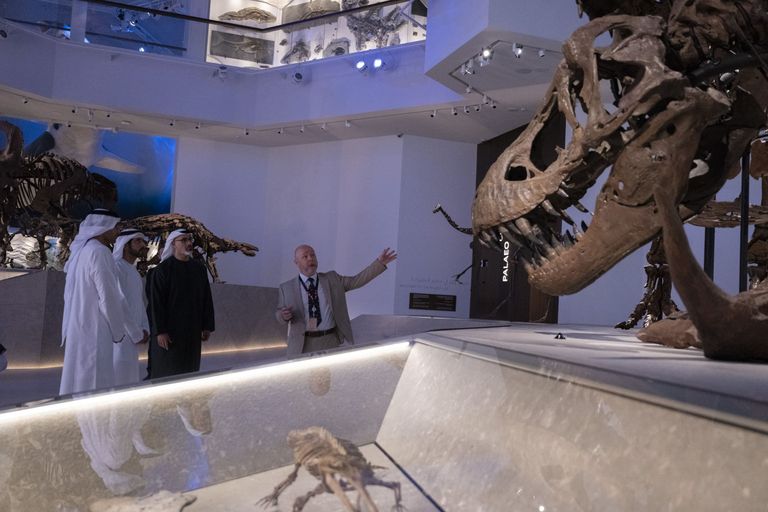 متحف زايد الوطني