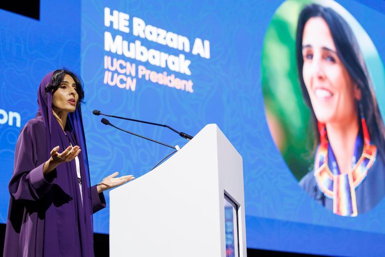 ثقة دولية تتزايد في كفاءة "بنات زايد"