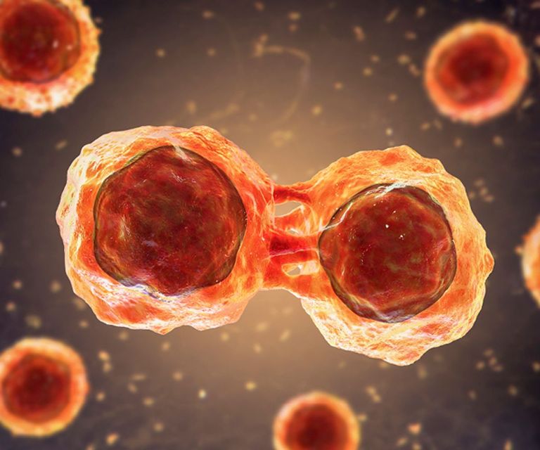 أول تجربة إماراتية لعلاج التصلب المتعدد بالخلايا الجذعية الذاتية