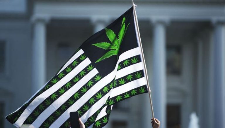 الماريغوانا