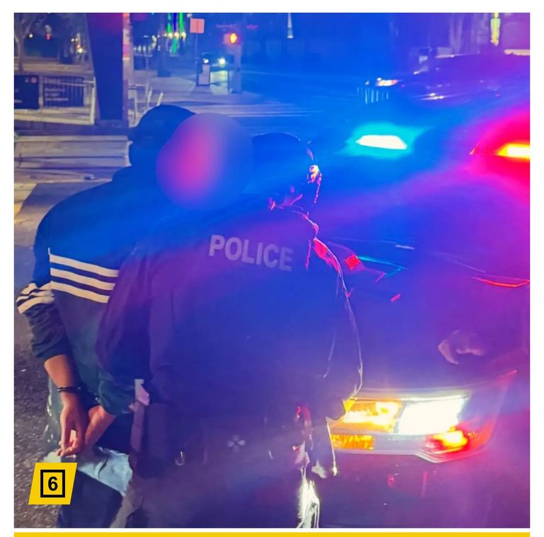 اعتقال نجل روب راينر 