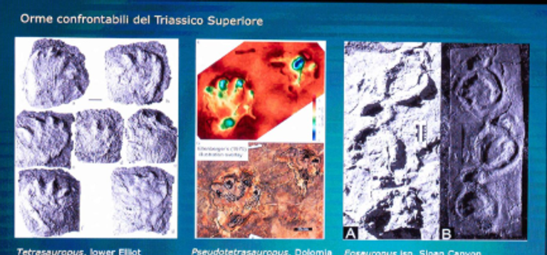 اكتشاف آثار أقدام ديناصورات بجبال الألب