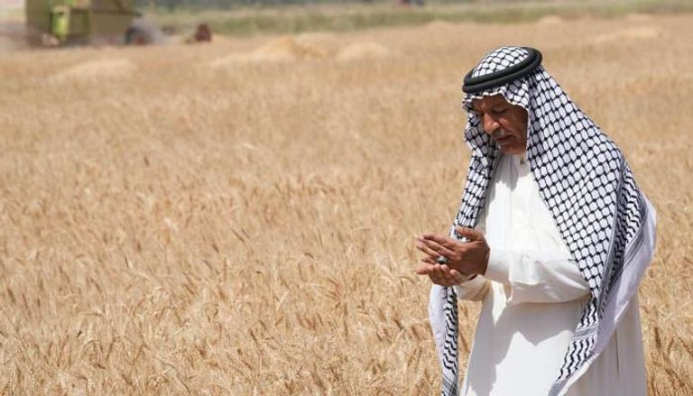 الفاو تتوقع انخفاض محصول القمح وزيادة الواردات