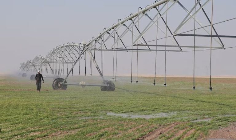 الفاو تتوقع انخفاض محصول القمح وزيادة الواردات