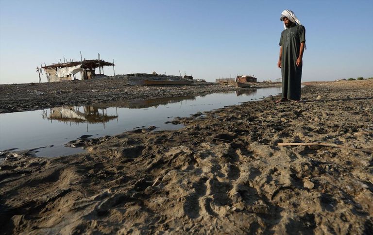 الفاو تتوقع انخفاض محصول القمح وزيادة الواردات