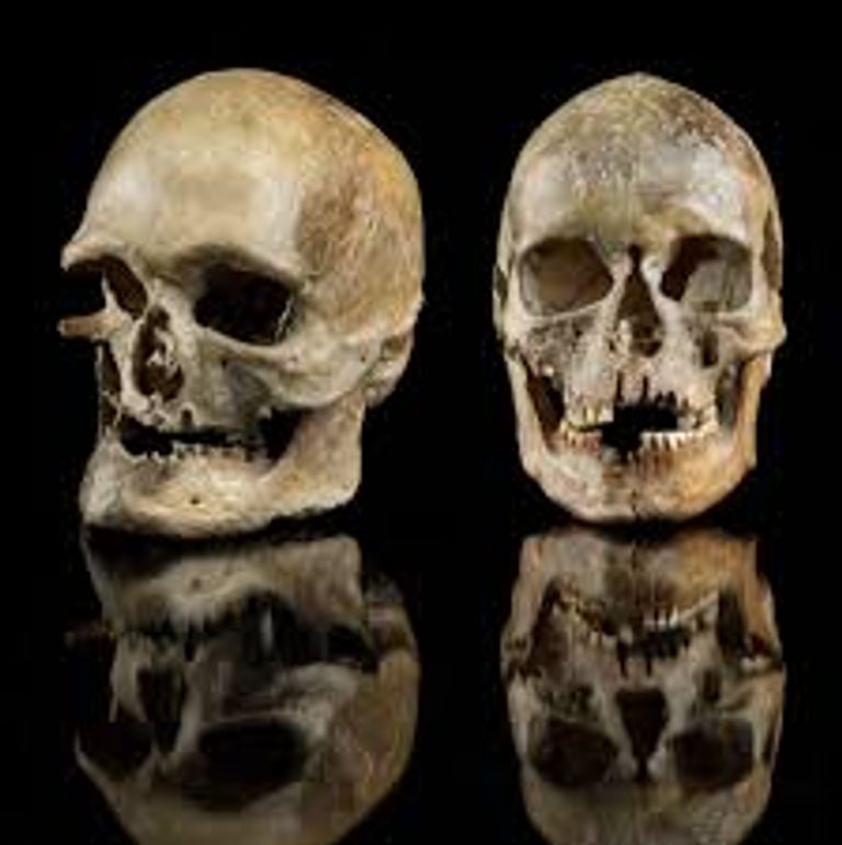 سر العمر المديد لبعض البشر