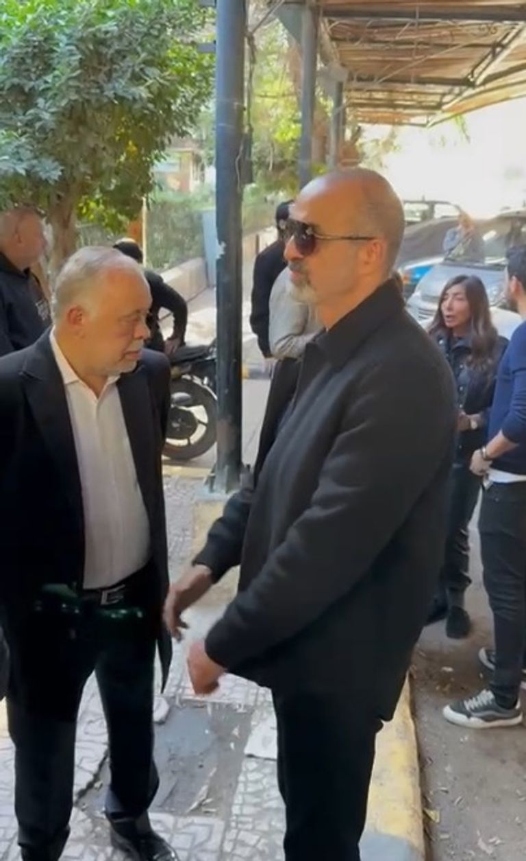 سمية الألفي