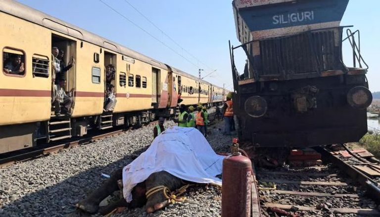 نفوق 7 أفيال دهسها قطار فائق السرعة