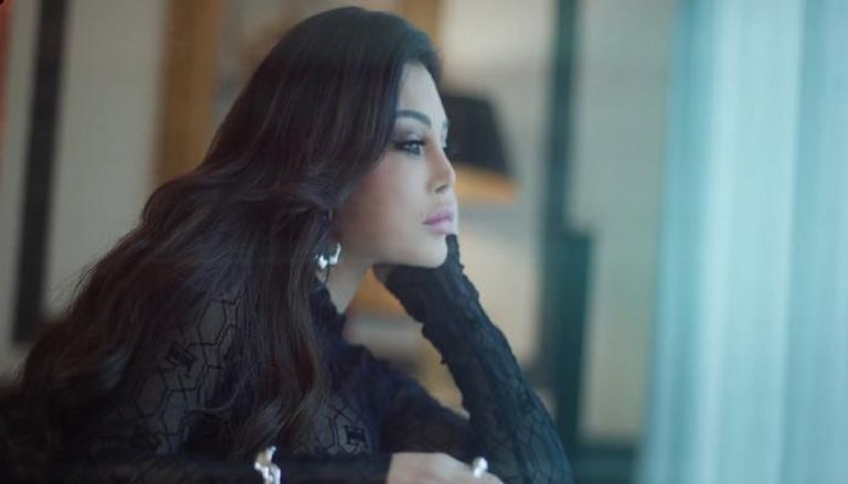 تسريب فيديو هيفاء وهبي مع زوجها