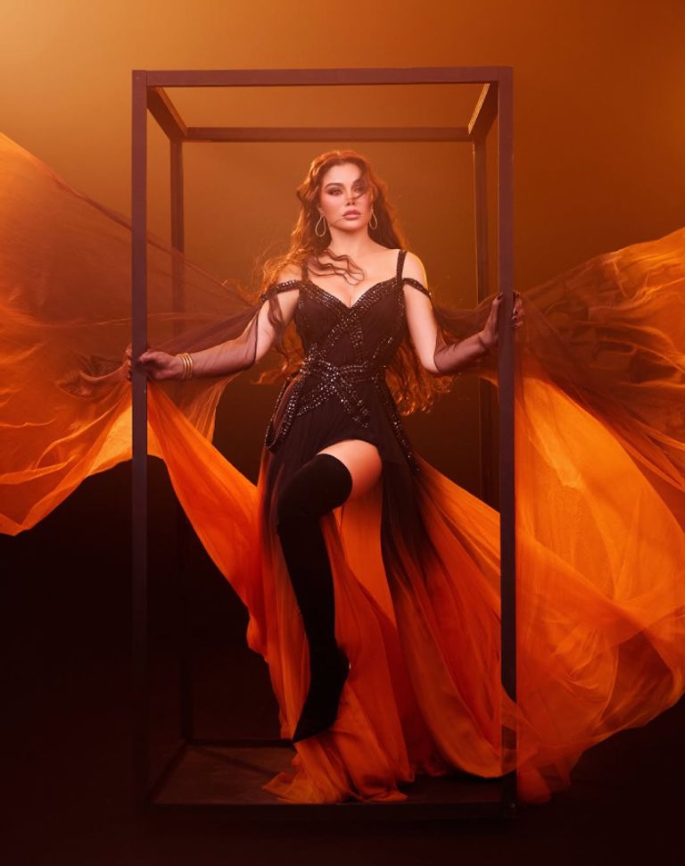 تسريب فيديو هيفاء وهبي من غرفة نومها