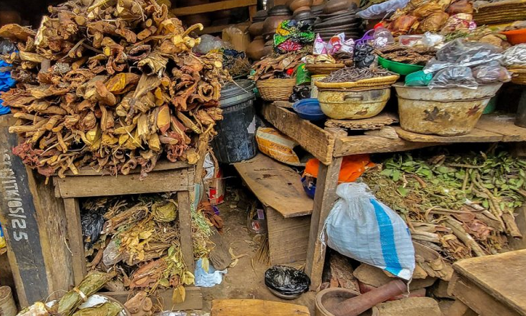 منظمة الصحة العالمية