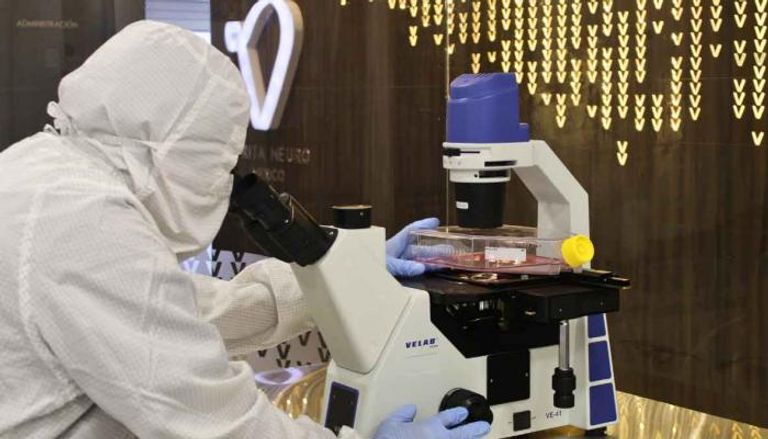 علماء يطورون أداتين قد تُحدثان تحولا في فهم كيفية تواصل الخلايا