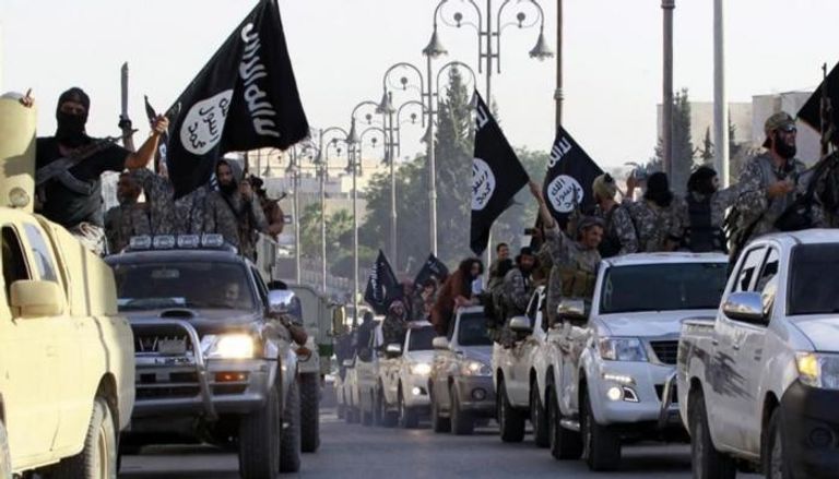 عناصر من تنظيم داعش الإرهابي - أرشيفية