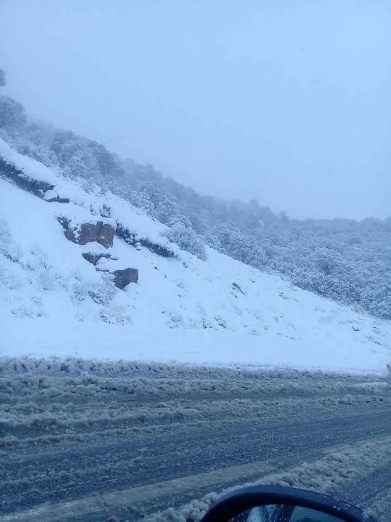 تساقط الثلوج في الجزائر - أرشيفية