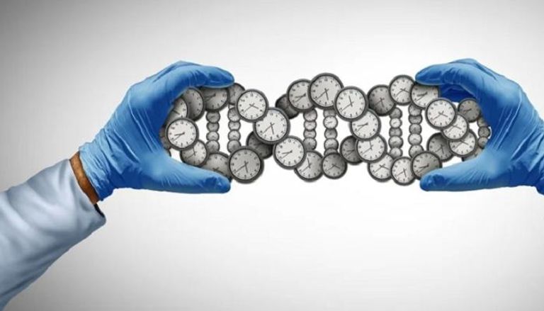 أداة جديدة لقياس العمر البيولوجي للجسم اعتمادا على تحليل البول