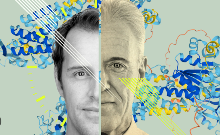 أداة جديدة لقياس العمر البيولوجي للجسم اعتمادا على تحليل البول