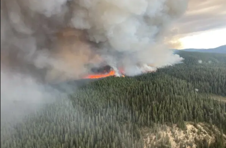 التحولات المناخية في 2025 لم تكن مجرد أحداث عابرة