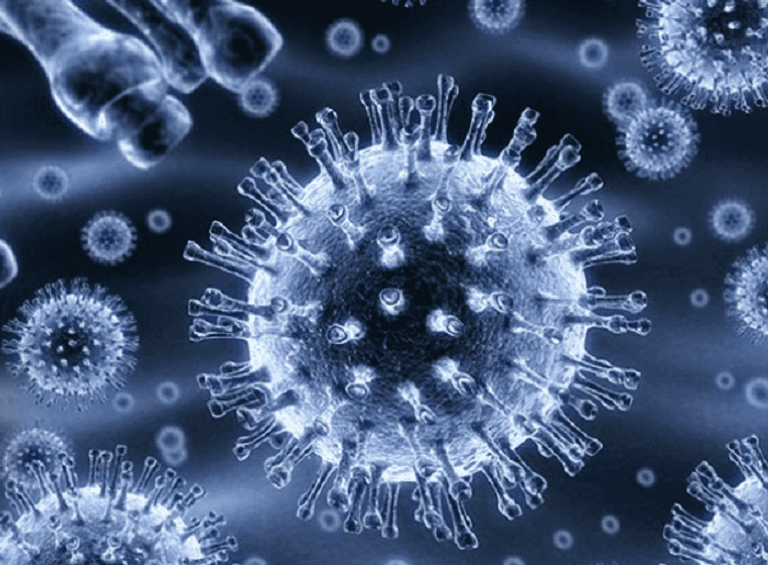 جزيئات دقيقة يفرزها الدماغ قد تلعب دورا حاسما في إعادة تنشيط فيروس الإيدز.