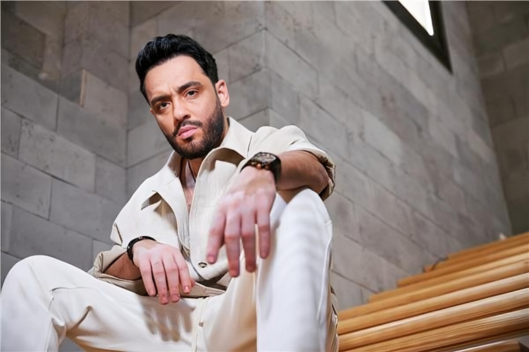 الفنانة أنغام