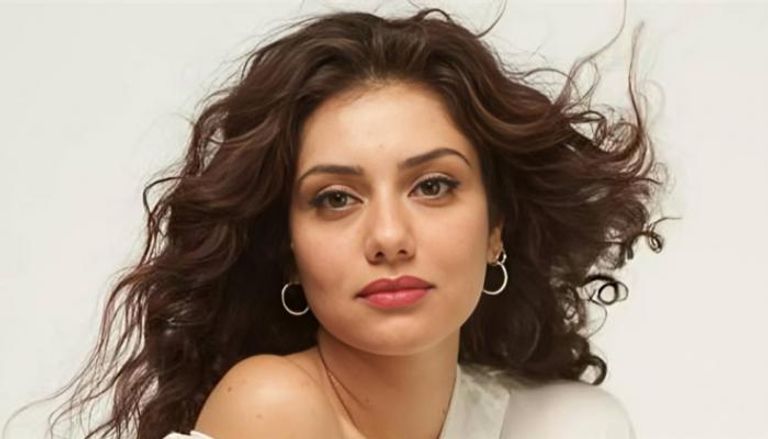 الفنانة جيهان الشماشرجي