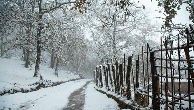 مدينة طبرقة التونسية