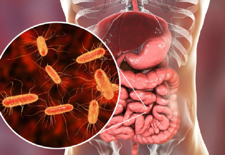 بكتيريا الأمعاء يمكن توظيفها كمؤشر حيوي لتشخيص الاكتئاب 