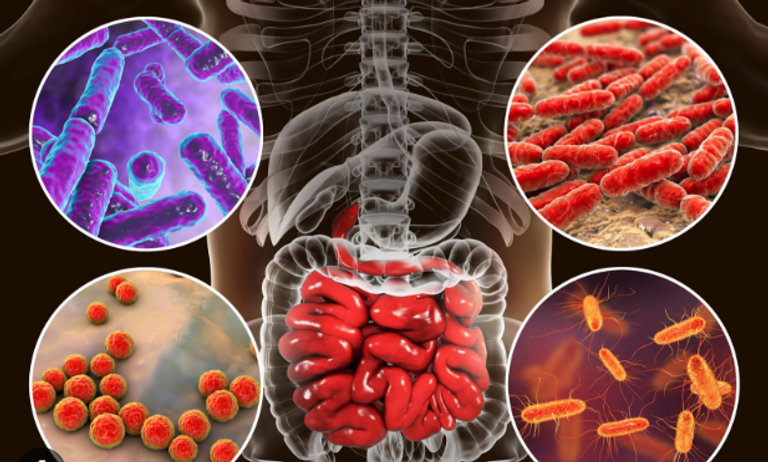 بكتيريا الأمعاء يمكن توظيفها كمؤشر حيوي لتشخيص الاكتئاب 