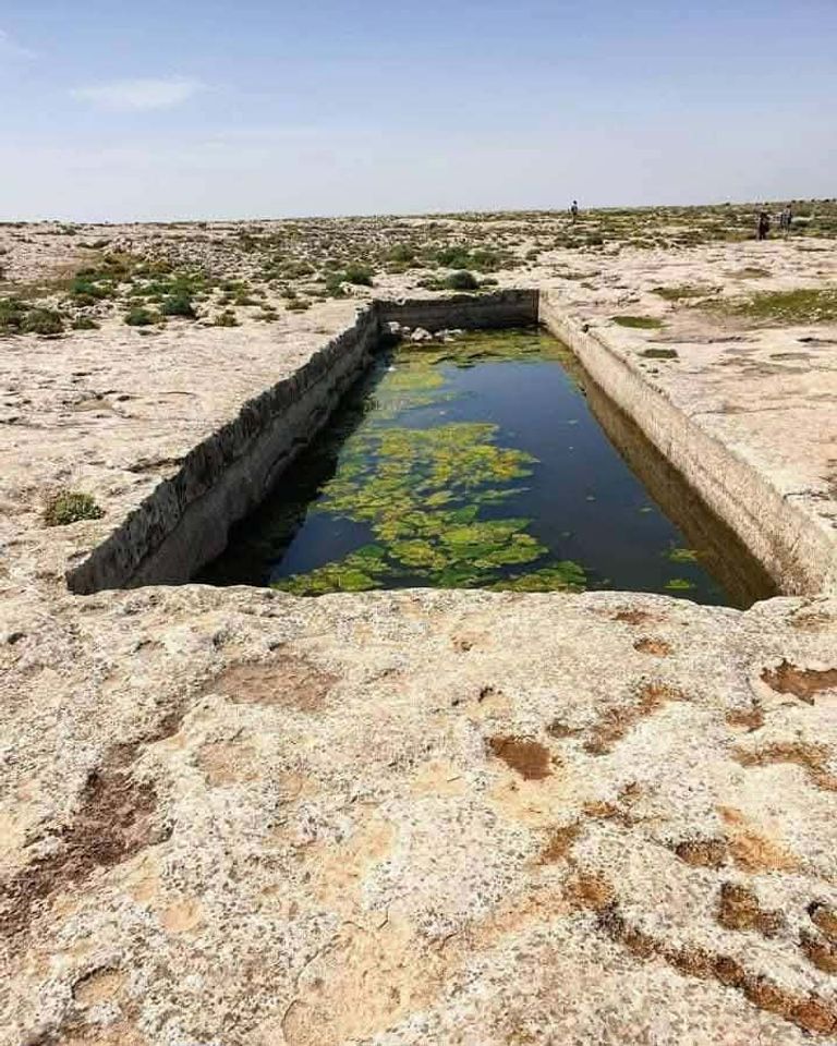 مائدة يوغرطة في تونس