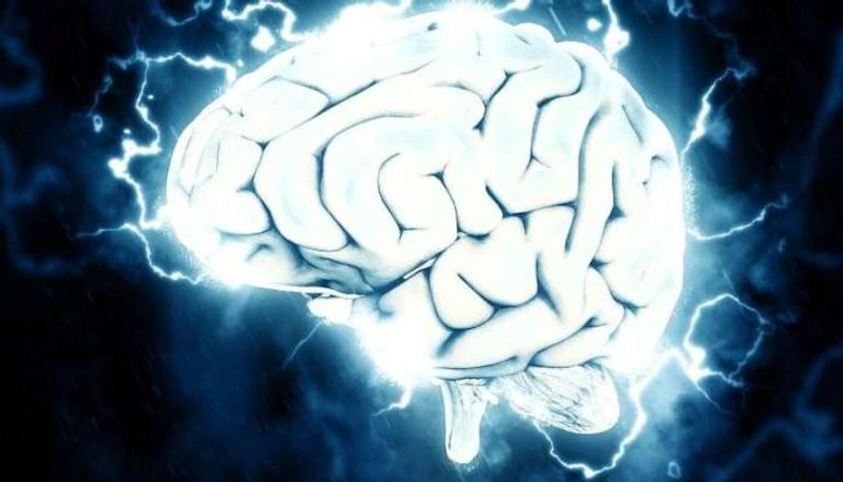 تطور الدماغ، وخصوصاً شبكاته الوظيفية، لا يتوقف عند سن 25.