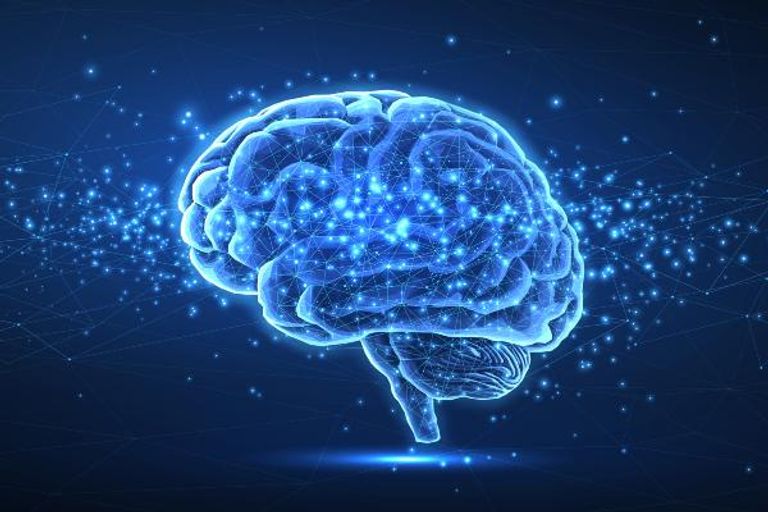 تطور الدماغ، وخصوصاً شبكاته الوظيفية، لا يتوقف عند سن 25.