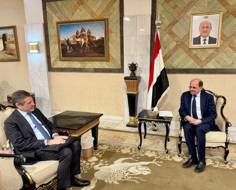 السفير الأمريكي في اليمن مع العليمي