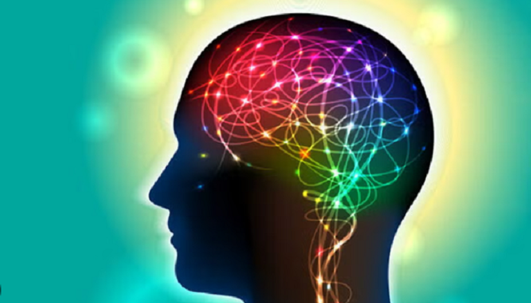 الدماغ يستفيد من التقلبات العشوائية في نشاطه للقيام بعمليات حسابية مفيدة