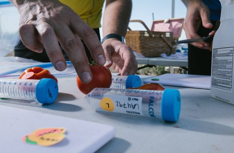 ابحاث شركة هيريتابل أبحاث شركة هيريتابل