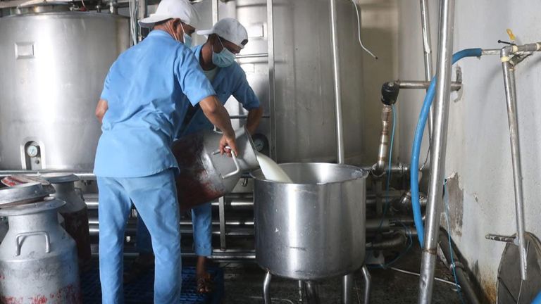 سطو حوثي ممنهج على كبرى مشاريع الحليب باليمن