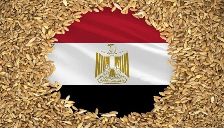 القمح وفي الخلفية علم مصر - تعبيرية