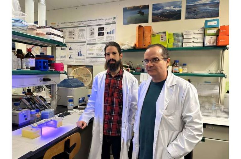 المركب «MRS7787» لعلاج الصدفية