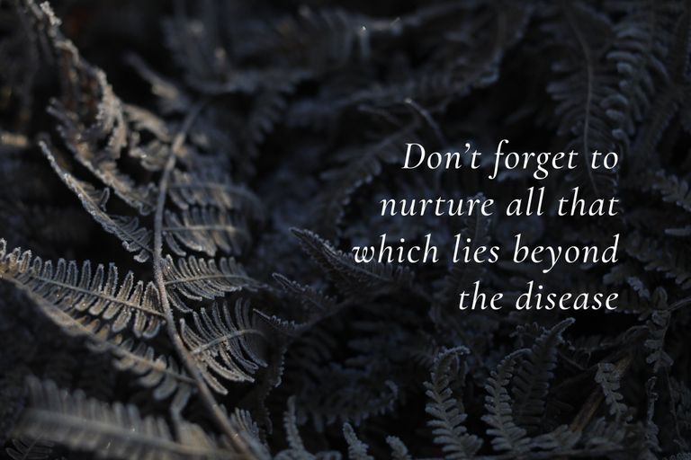 أميرة ويلز كيت ميدلتون