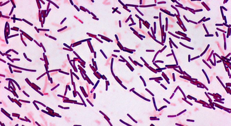 "التاكسي الكيميائي" أسهل طريقة لاكتشاف المريخ