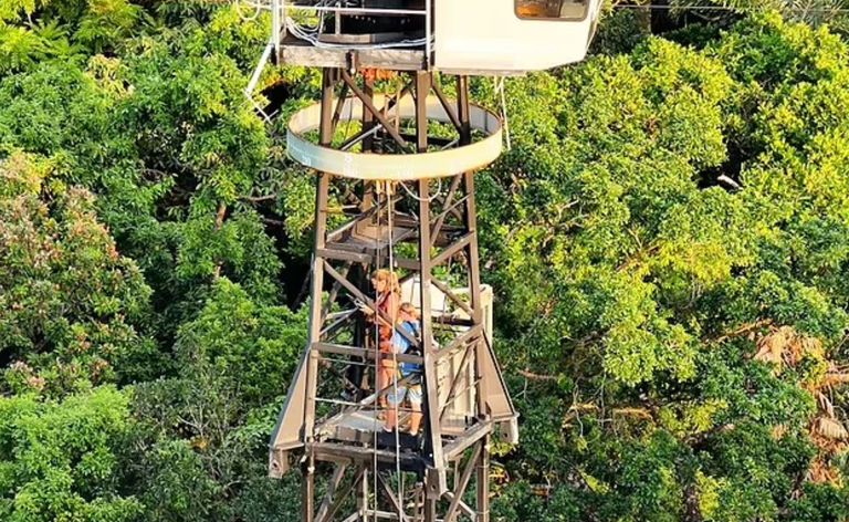 الطائرات المسيرة تكشف عن أندر الحيوانات